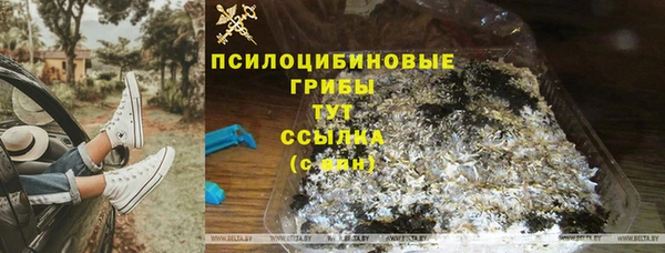 СК Медногорск