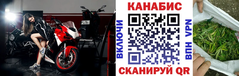 как найти наркотики  Тбилисская  Каннабис Ganja 